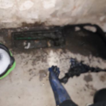 Destapacion de tapa cloacal
